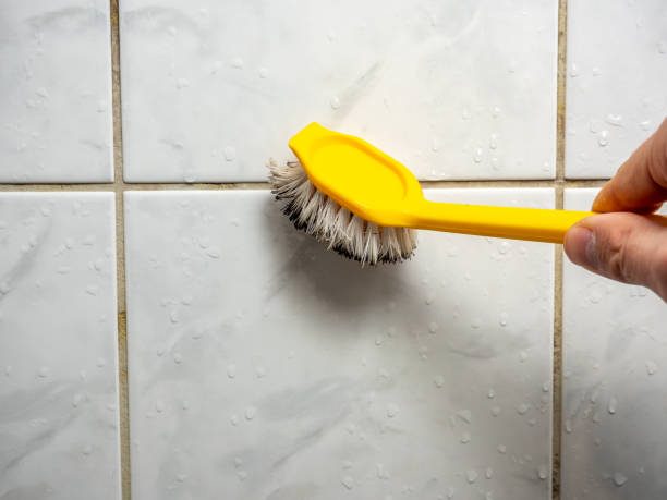Home Mold Removal in Closter, NJ