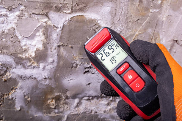 Best Mold Cleaning Services  in Closter, NJ