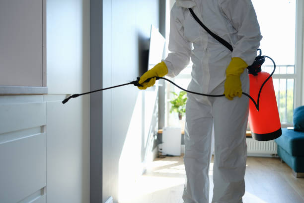 Best Mold Damage Repair  in Closter, NJ