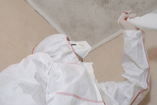 Best Mold Testing  in Closter, NJ
