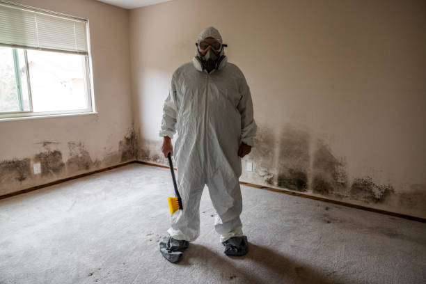 Best Toxic Mold Removal  in Closter, NJ